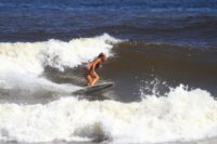 IMG_0231