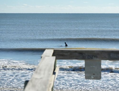 Florida Surf Report #2 [Jacksonville] Thursday 01.26.2023