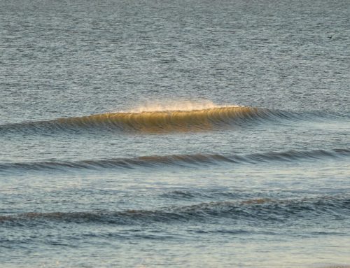 Florida Surf Report #1 [Jacksonville] Friday 01.27.2023