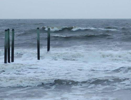 Northeast FL Surf Report #1 Thursday 09.12.2024 7:00 AM