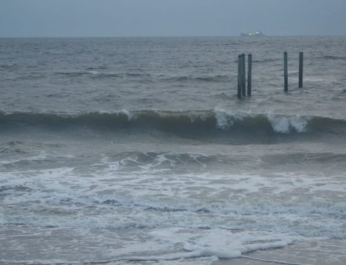 Northeast Fl Surf Report #1 Monday 7:30 AM 10.28.2024