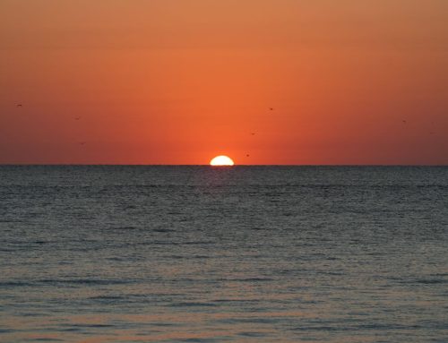 Northeast Fl Surf Report #1 Tuesday 10.15.2024 7:20 AM