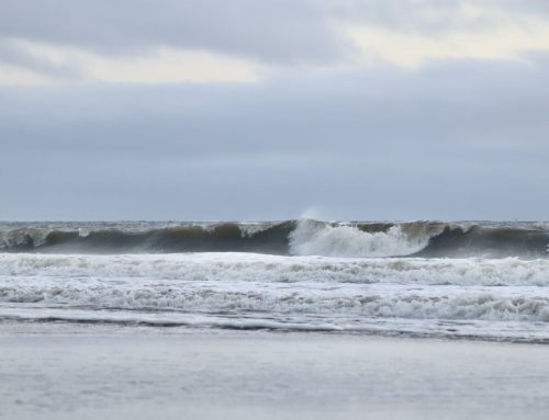 Northeast Fl Surf Report #1 Tuesday 7:40 AM 10.29.2024