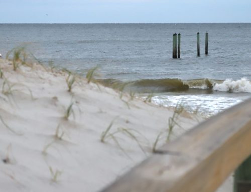 Northeast Fl Surf Report #1 Wednesday 10.16.2024 7:30 AM