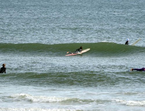 Northeast Fl Surf Report #2 Thursday 11.28.2024 11:30 AM