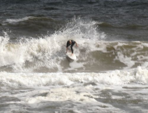 Northeast Fl Surf Report #2 Wednesday 11.13.2024 11:15 AM