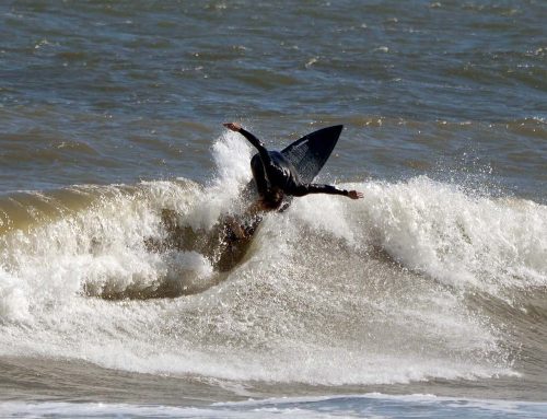 Northeast Fl Surf Report #2 Saturday 11.16.2024 12:30 PM