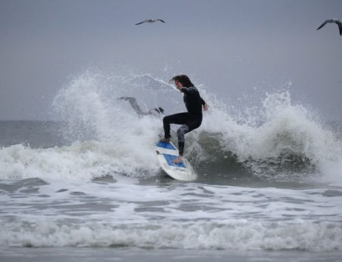 Northeast Fl Surf Report #1 Wednesday 11.20.2024 7 AM