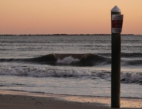 Northeast Fl Surf Report #1 Thursday 11.21.2024 6:45 AM