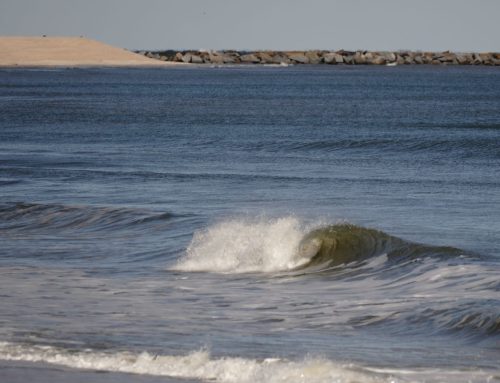 Northeast Fl Surf Report #2 Thursday 11.21.2024 11:45 AM