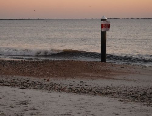 Northeast Fl Surf Report #1 Monday 11.25.2024 7:00 AM