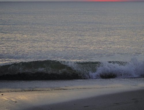 Northeast Fl Surf Report #1 Wednesday 11.27.2024 7:00 AM