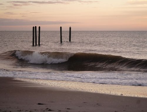 Northeast Fl Surf Report #1 Thursday 11.28.2024 7:00 AM