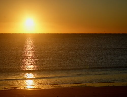 Northeast Fl Surf Report #1 Friday 11.22.2024 7:00 AM