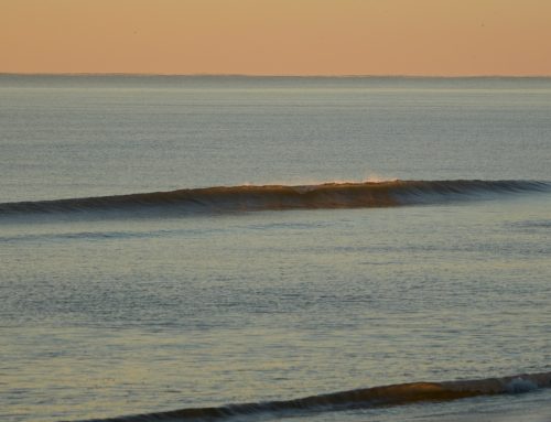 Northeast Fl Surf Report #1 Sunday 11.24.2024 6:50 AM