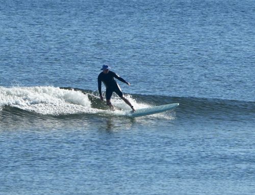 Northeast Fl Surf Report #2 Sunday 11.24.2024 10:30 AM