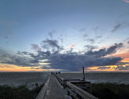 Northeast Fl Surf Report #1 Saturday 11.09.2024 6:45 AM