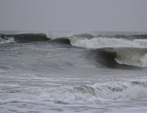 Northeast FL Surf Report #1 Thursday 12.26.24 7:20 AM