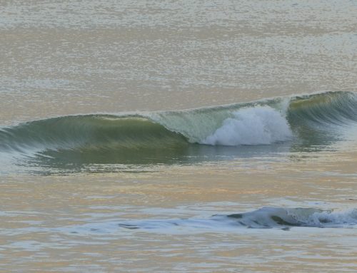 Northeast Fl Surf Report #1 Tuesday 12.03.2024 7:00 AM