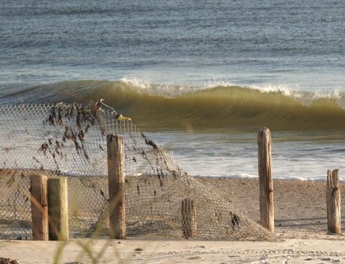 NE FL Surf Report #1 Thursday 01.02.25 7:15 AM