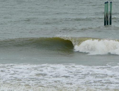 NE FL Surf Report #2 Tuesday 01.07.25 1:00 PM