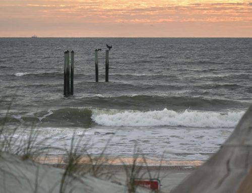 NE Florida Surf Report #1 Friday 01.10.25 7:30 AM