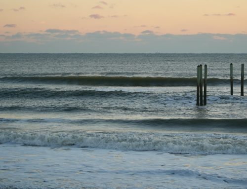 NE Florida Surf Report #1 Thursday 01.09.25 7:25 AM