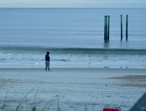 NE Florida Surf Report #1 Saturday 01.18.25 7:25 AM