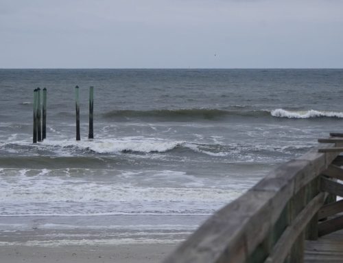 NE Florida Surf Report #1 Tuesday 01.21.25 7:25 AM