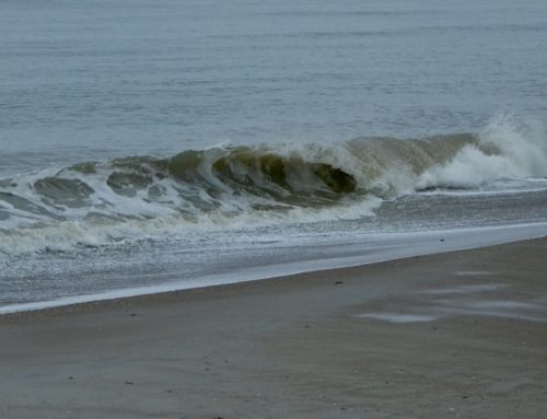 NE Florida Surf Report #1 Tuesday 01.28.25 7:20 AM