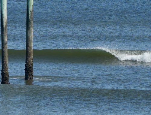 NE Florida Surf Report #2 Tuesday 01.28.25 1:00 PM