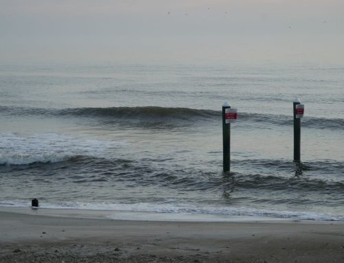 NE Florida Surf Report #1 Friday 01.31.25 7:15 AM