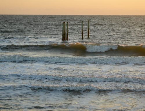 NE Florida Surf Report #1 Friday 02.14.25 7:05 AM