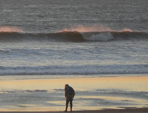 NE Florida Surf Report #1 Monday 02.17.25 7:00 AM