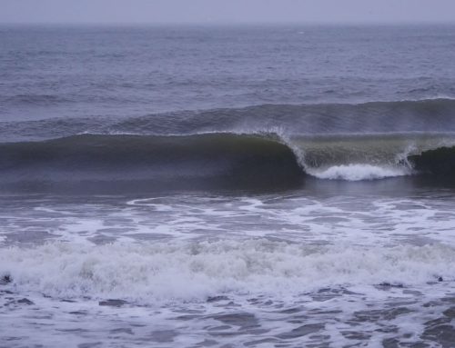 NE Florida Surf Report #1 Tuesday 02.25.25 7:00 AM