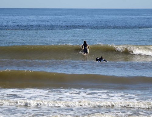 NE Florida Surf Report #2 Saturday 02.01.25 2:00 PM