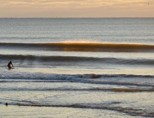 NE Florida Surf Report #1 Friday 03.21.25 7:25 AM