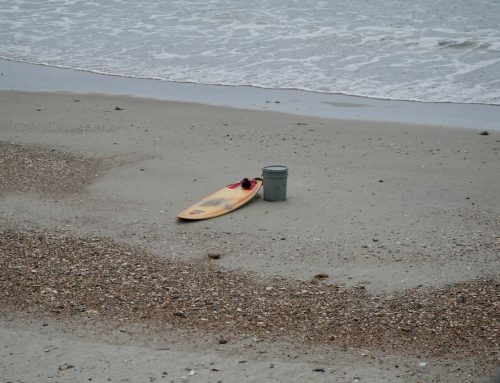 NE Florida Surf Report #1 Sunday 03.09.25 7:40 AM