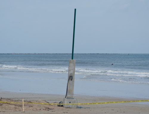 NE Florida Surf Report #2 Monday 03.10.25 1:00 PM