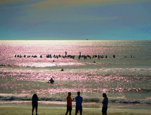 In Memory Of Steve Murphy / NE Fl Surf Update Saturday 05.17.25 10:30 AM