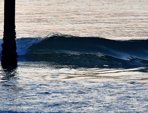 NE Florida Surf Report #1 Sunday 06.01.25 6:20 AM