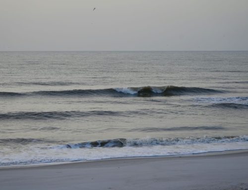NE Florida Surf Report #1 Monday 06.09.25 6:20 AM