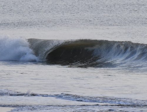 NE Florida Surf Report #1 Friday 06.07.25 6:20 AM