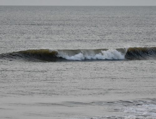 NE Florida Surf Report #1 Sunday 06.08.25 6:20 AM