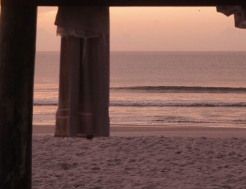 NE Florida Surf Report #1 Monday 07.14.25 6:30 AM