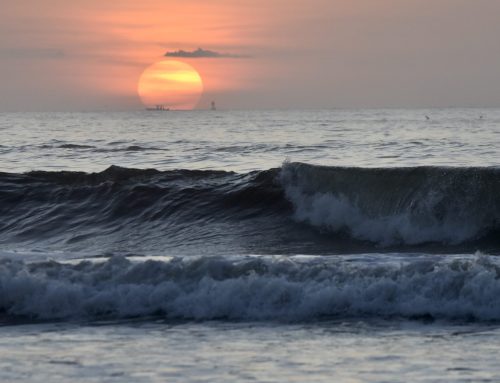NE Florida Surf Report #1 Saturday 07.19.25 6:35 AM