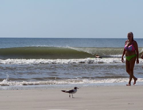 NE Florida Surf Report #2 Friday 08.01.25 11:30 AM