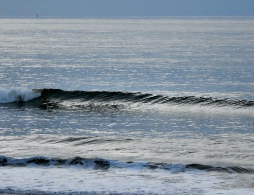 NE Florida Surf Report #1 Sunday 08.03.25 6:45 AM