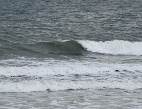 NE Florida Surf Report #1 Friday 08.08.25 6:45 AM