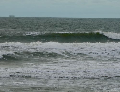 NE Florida Surf Report #1 Tuesday 09.02.25 7:00 AM